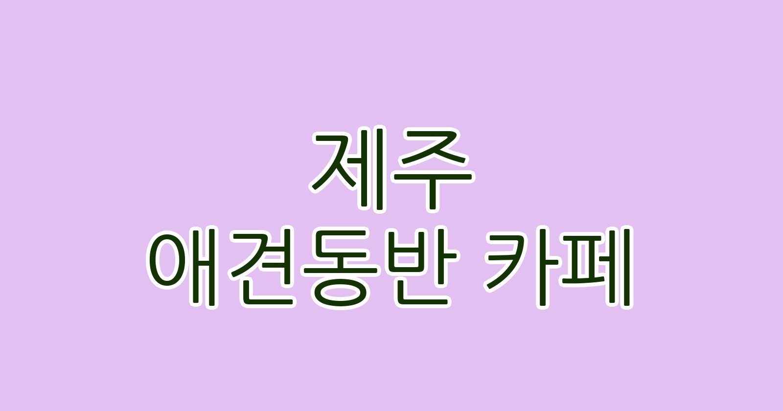 제주 애견동반 카페