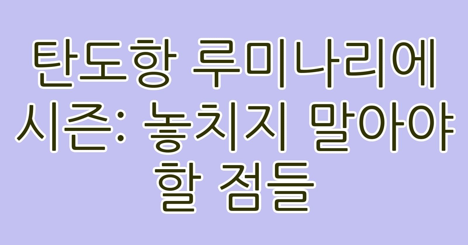 탄도항루미나리에시즌놓치지말아야할점들 thumb
