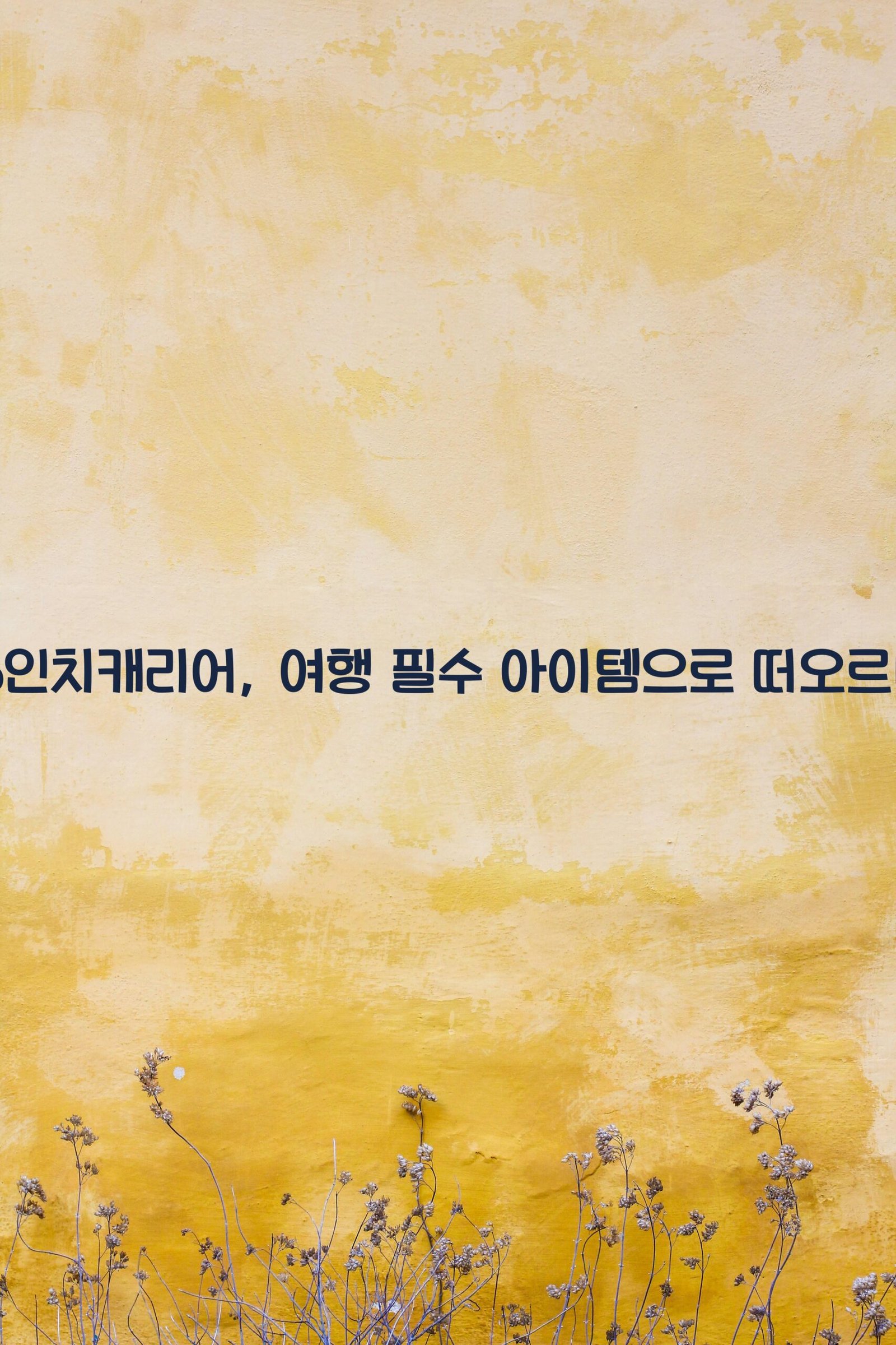 16인치캐리어 scaled