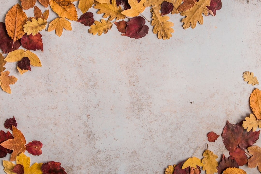 Autumn