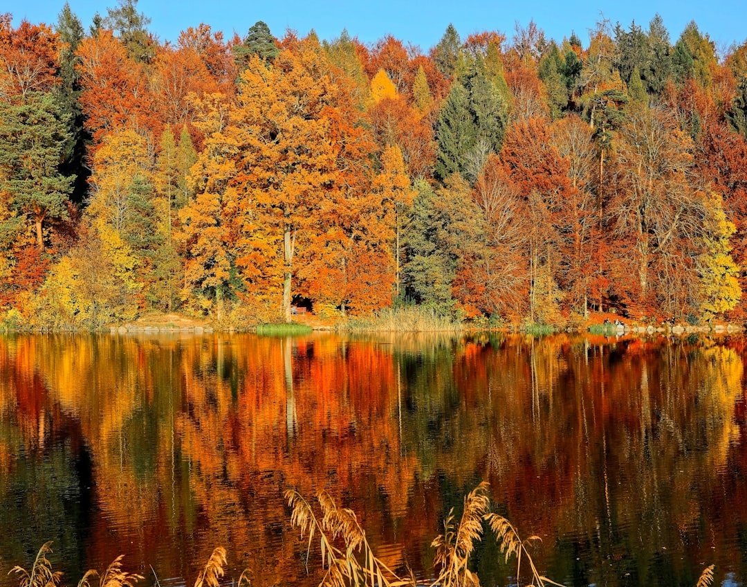 Autumn