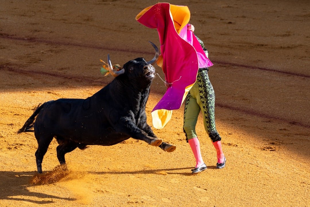 Bullfighting