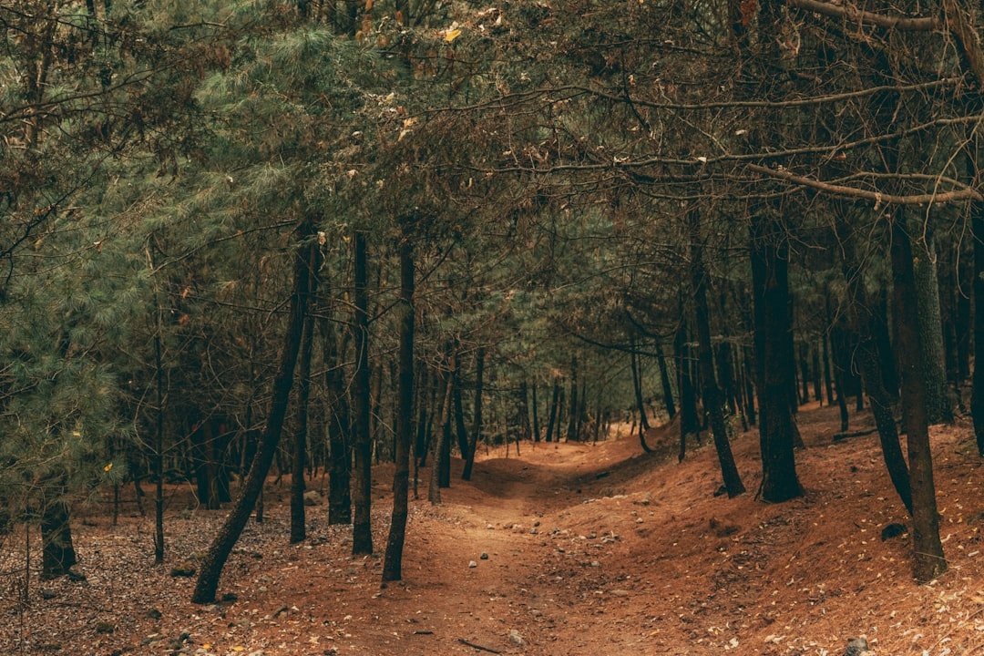 Camping Ground