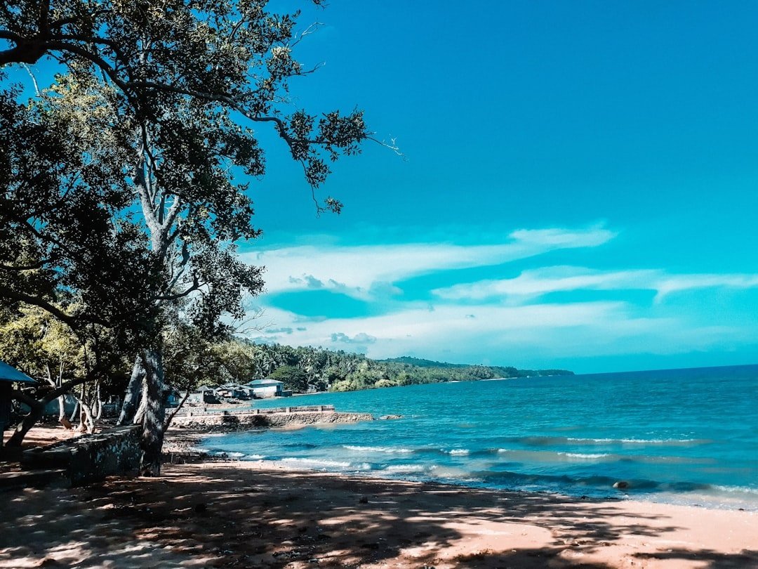 Cebu