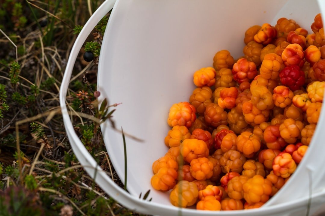 Cloudberry