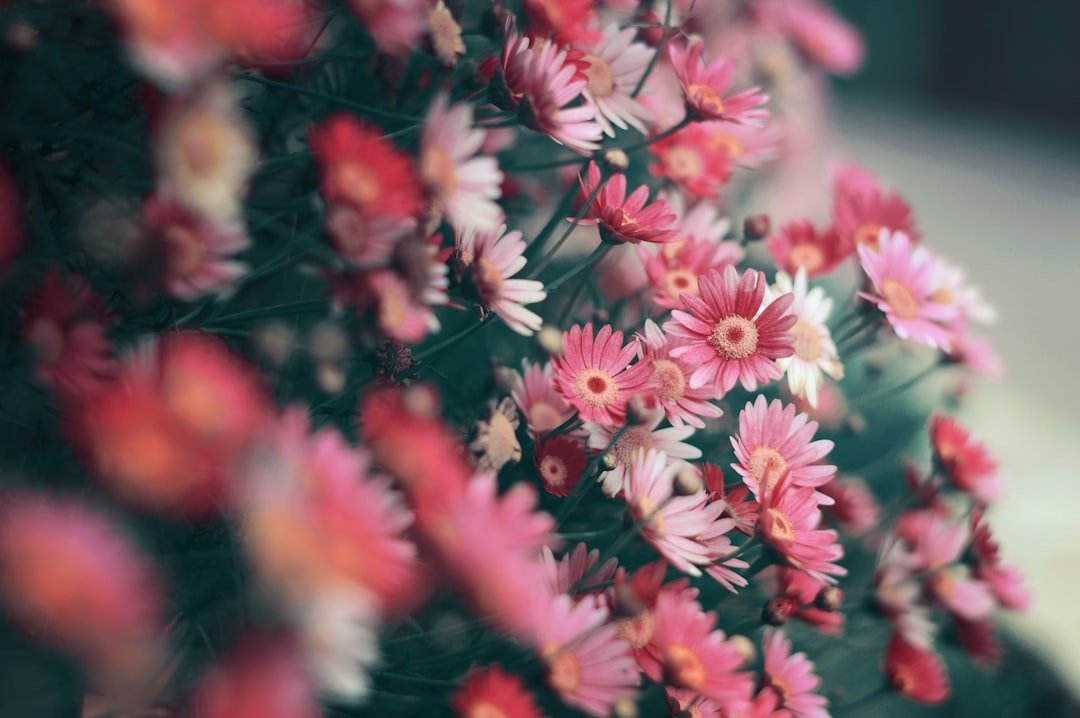 Floral