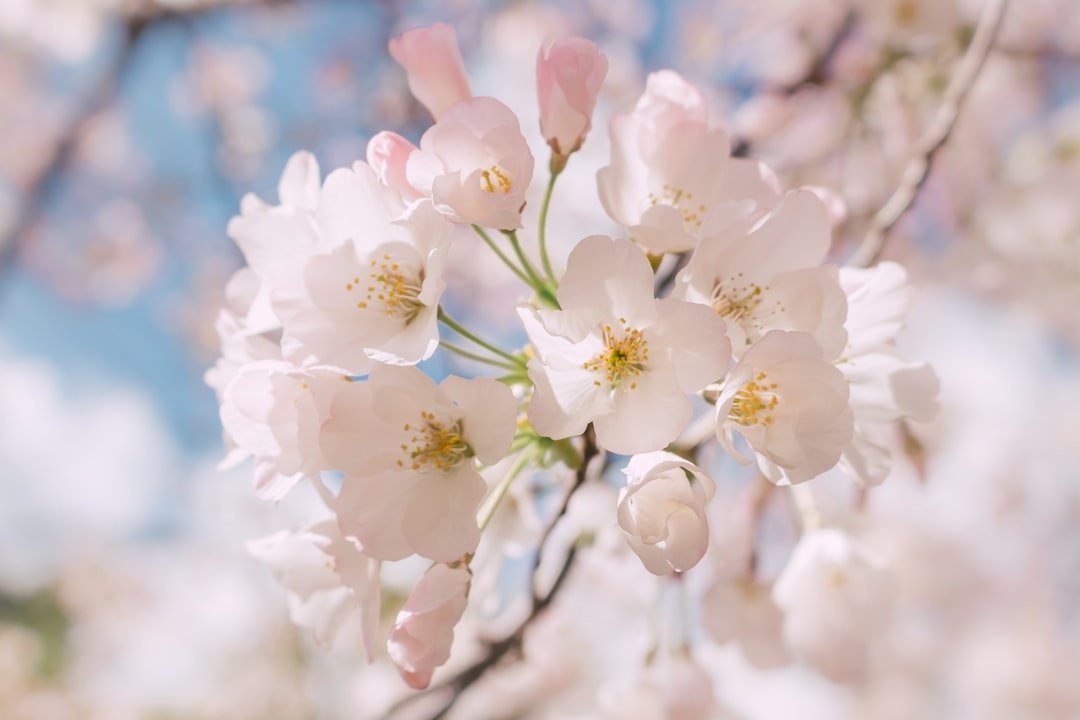 Floral