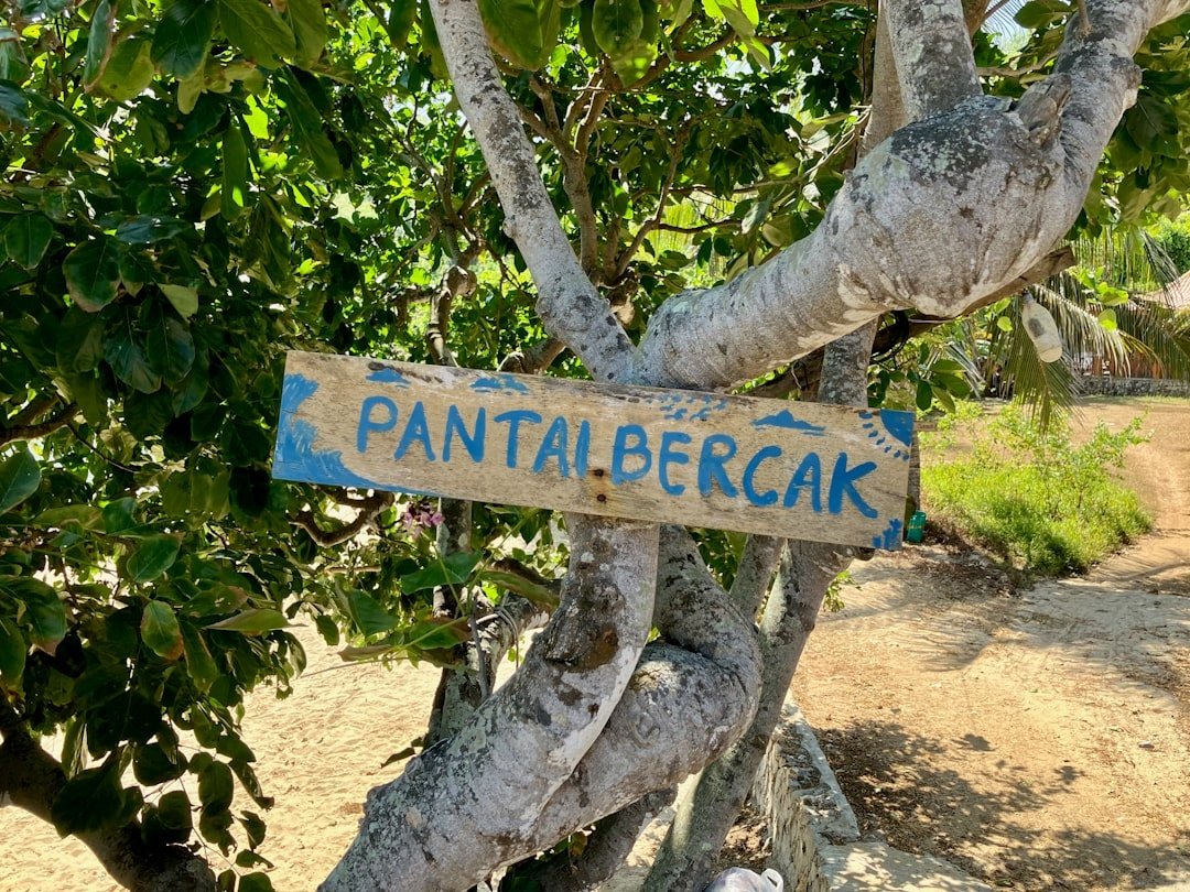 Hidden gem.