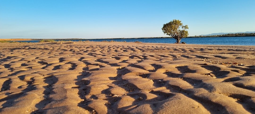 Mudflat