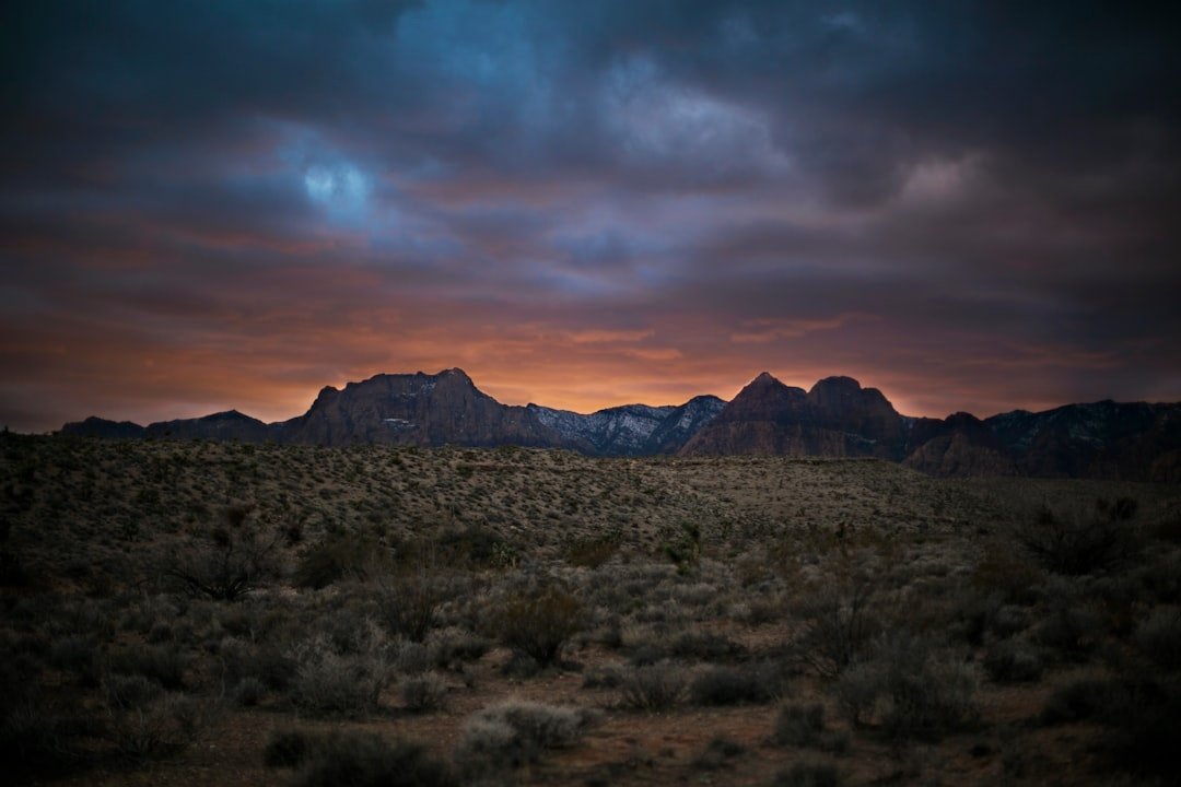 Nevada