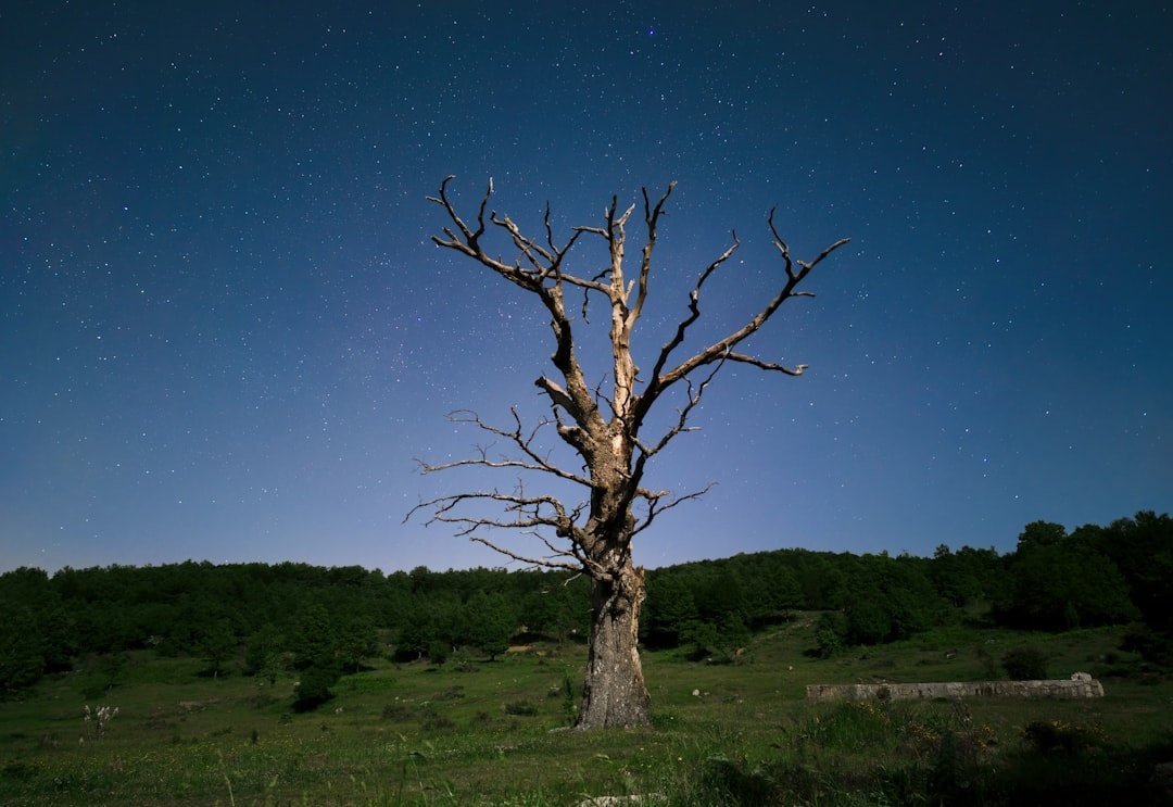 Nightscapes