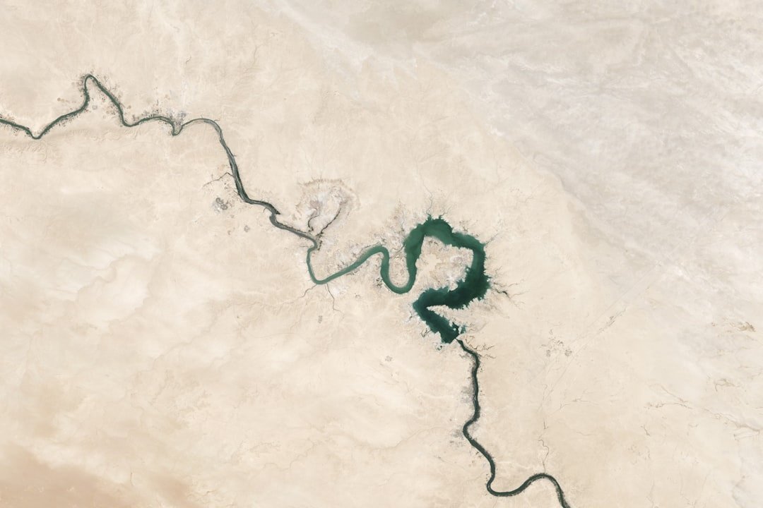 Oasis
