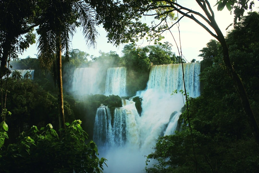 Oasis