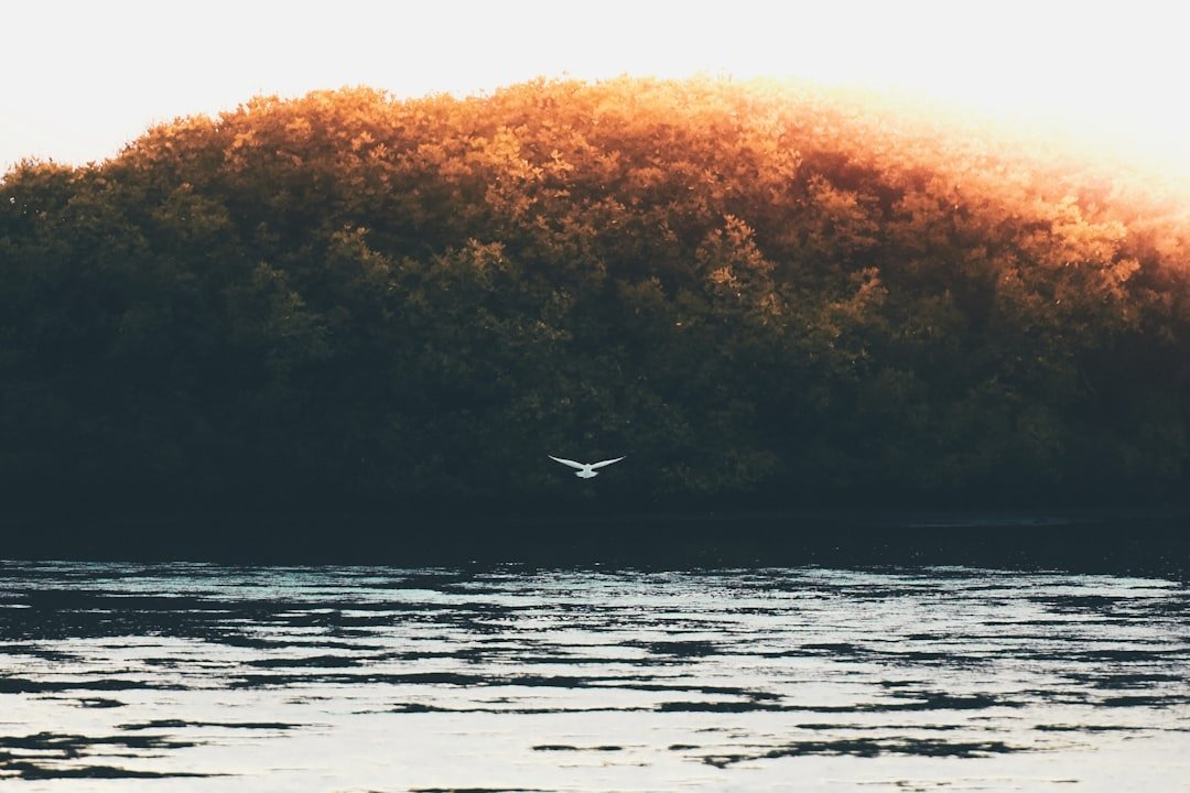 Paradise