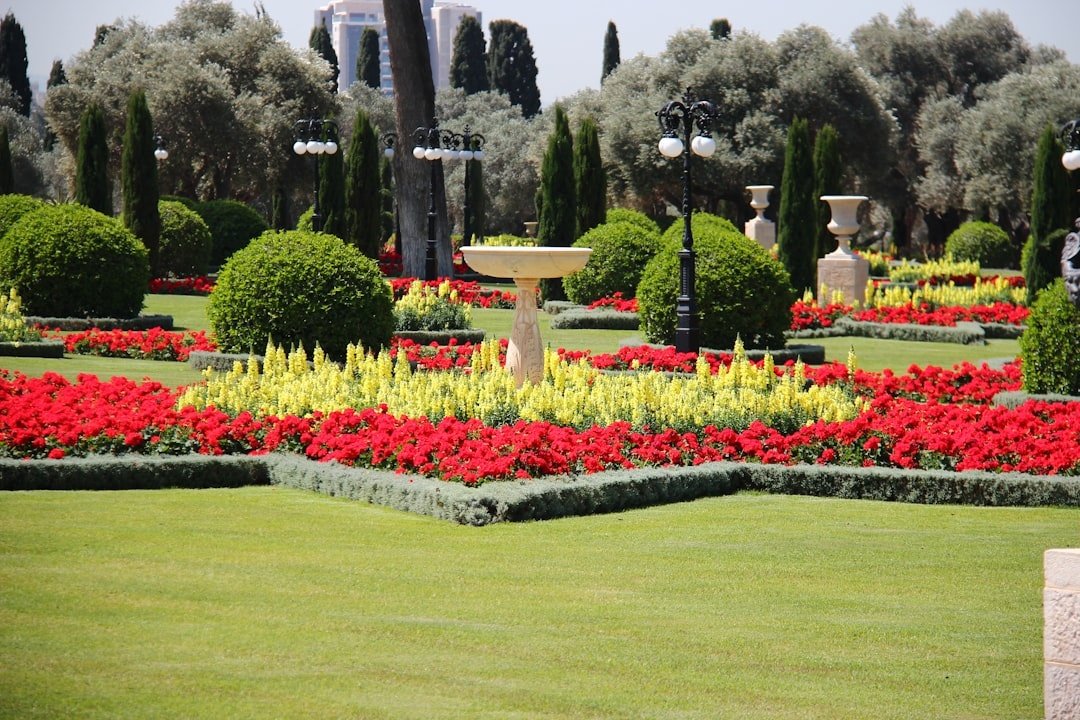 Park