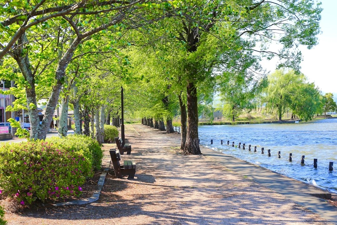 Park