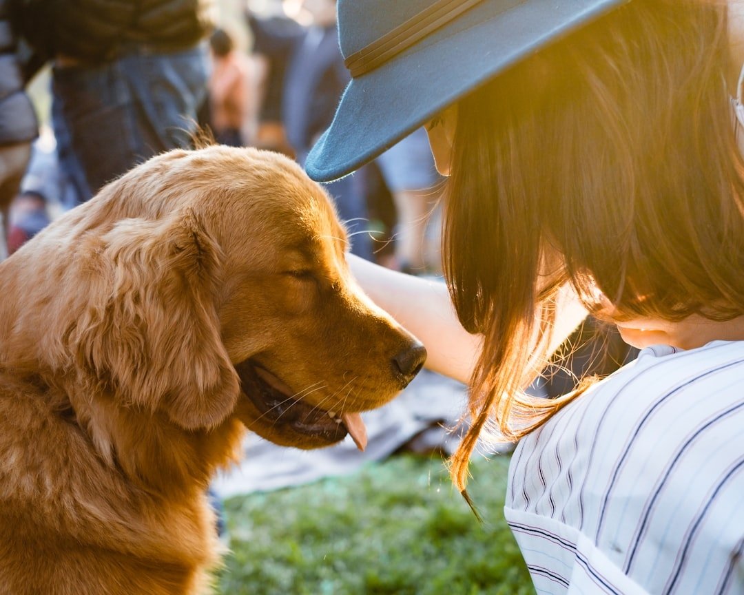 Pet-friendly