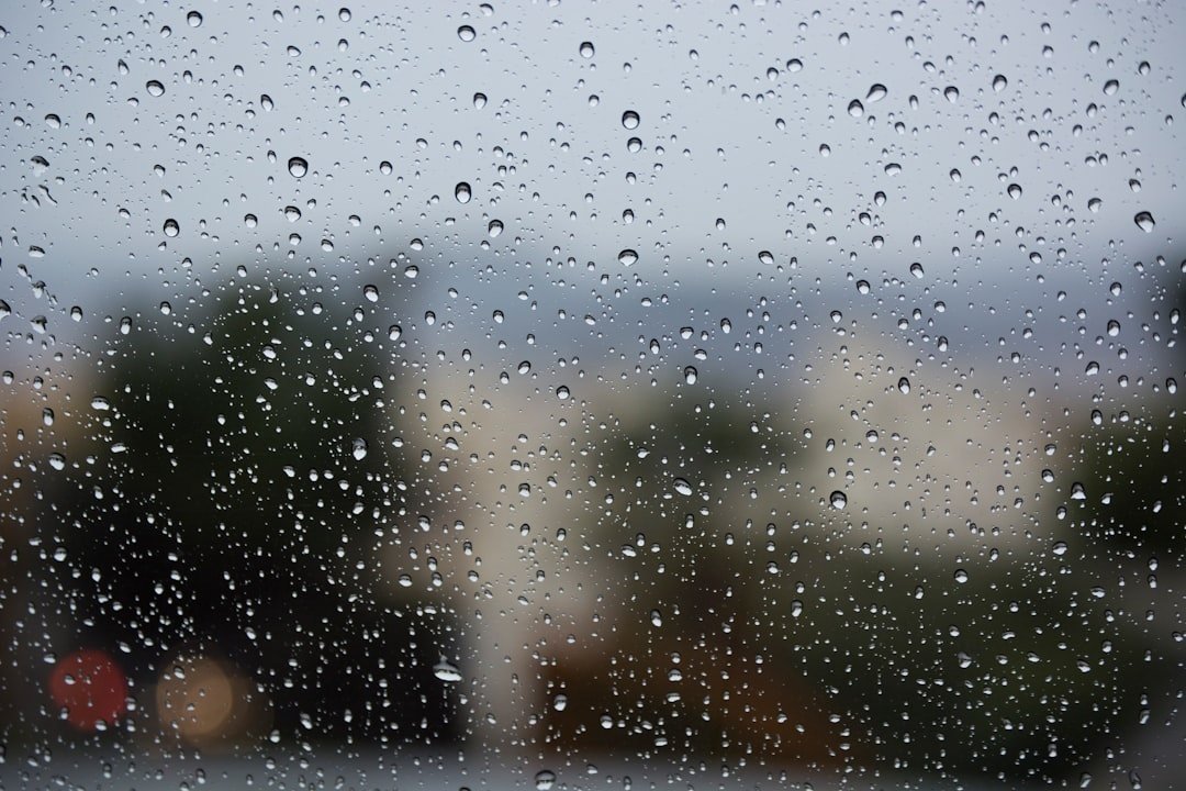 Rainy Day