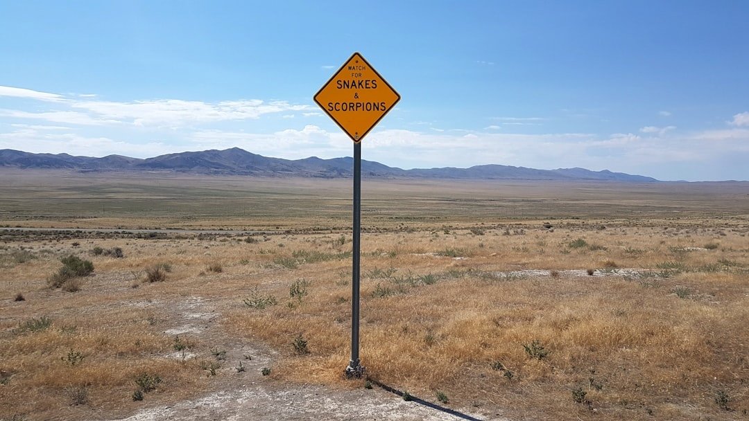 Rest area.