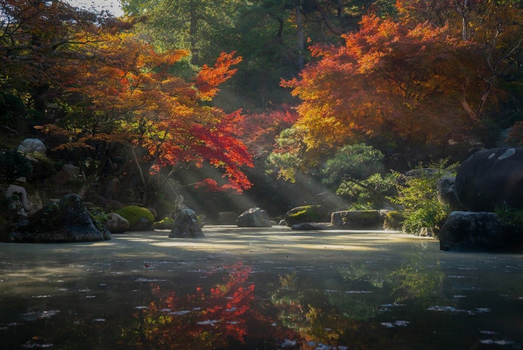 Scenery