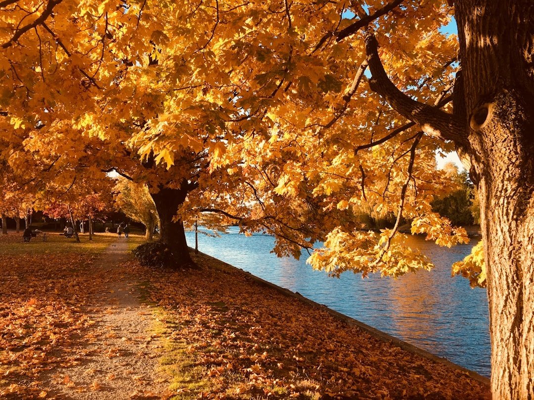 autumn