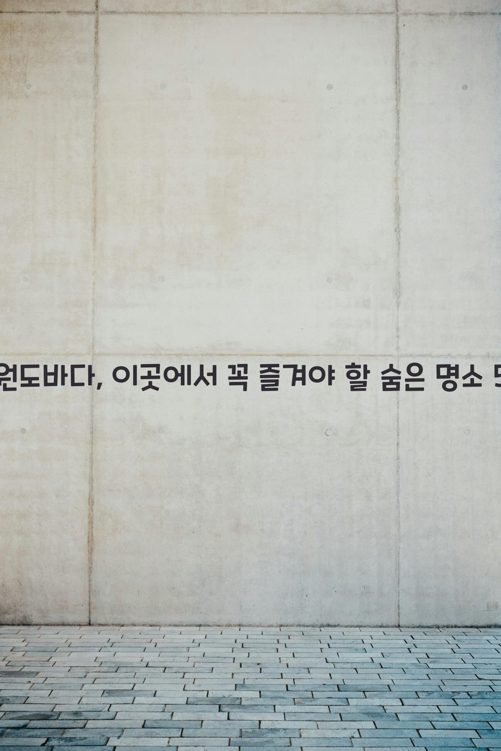 강원도바다 scaled