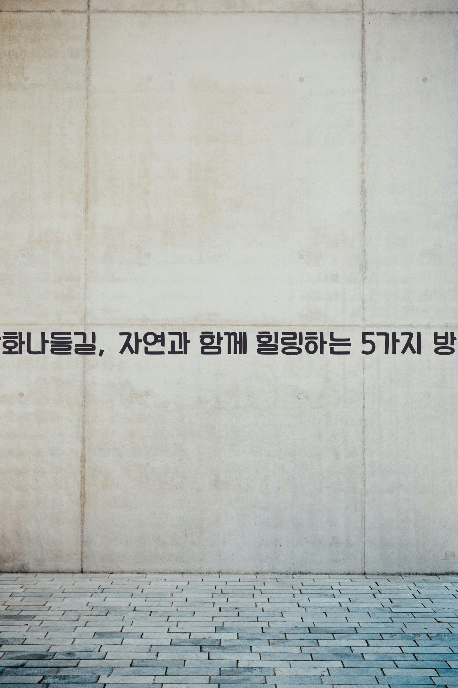 강화나들길 scaled