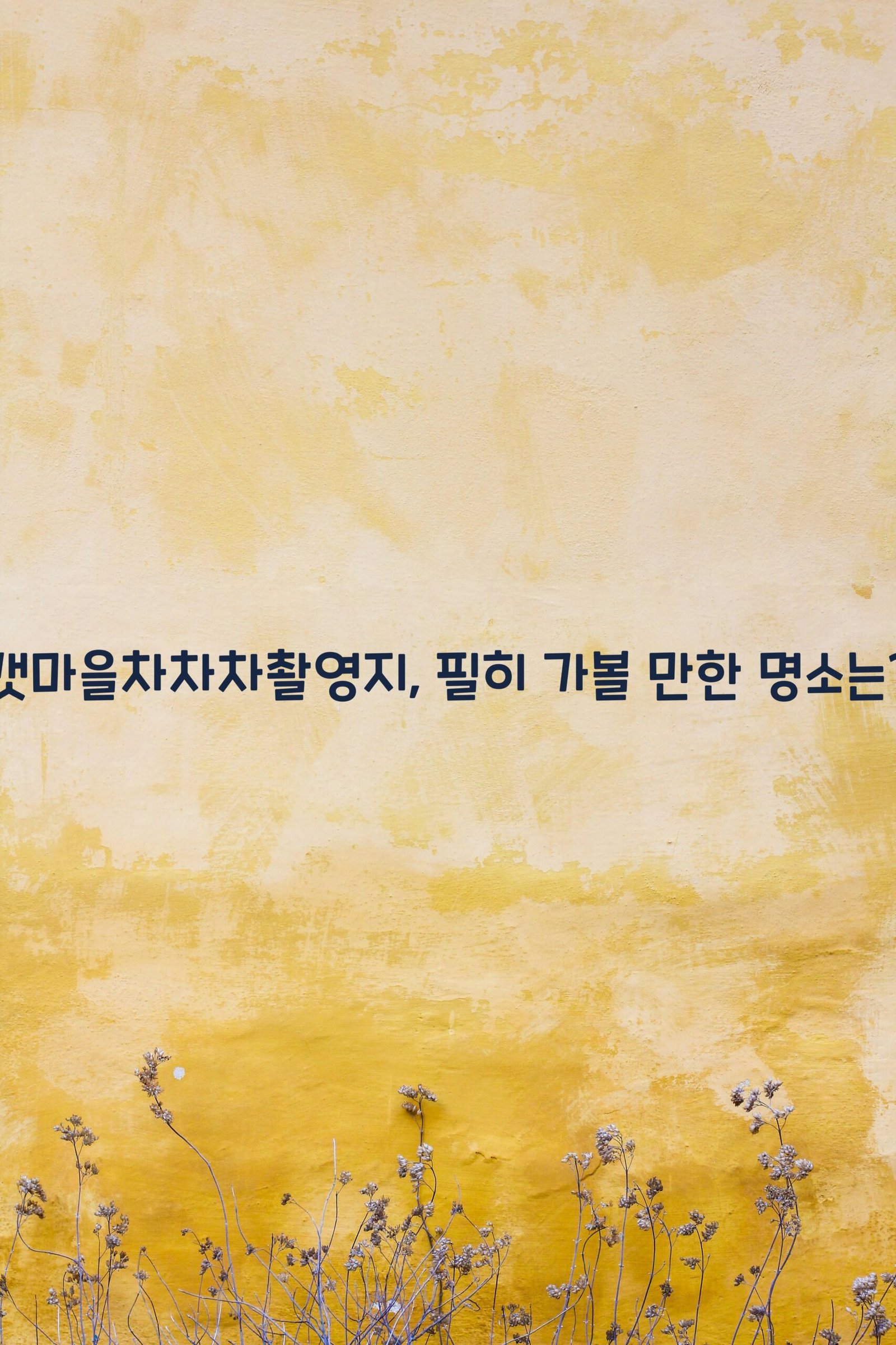 갯마을차차차촬영지 scaled