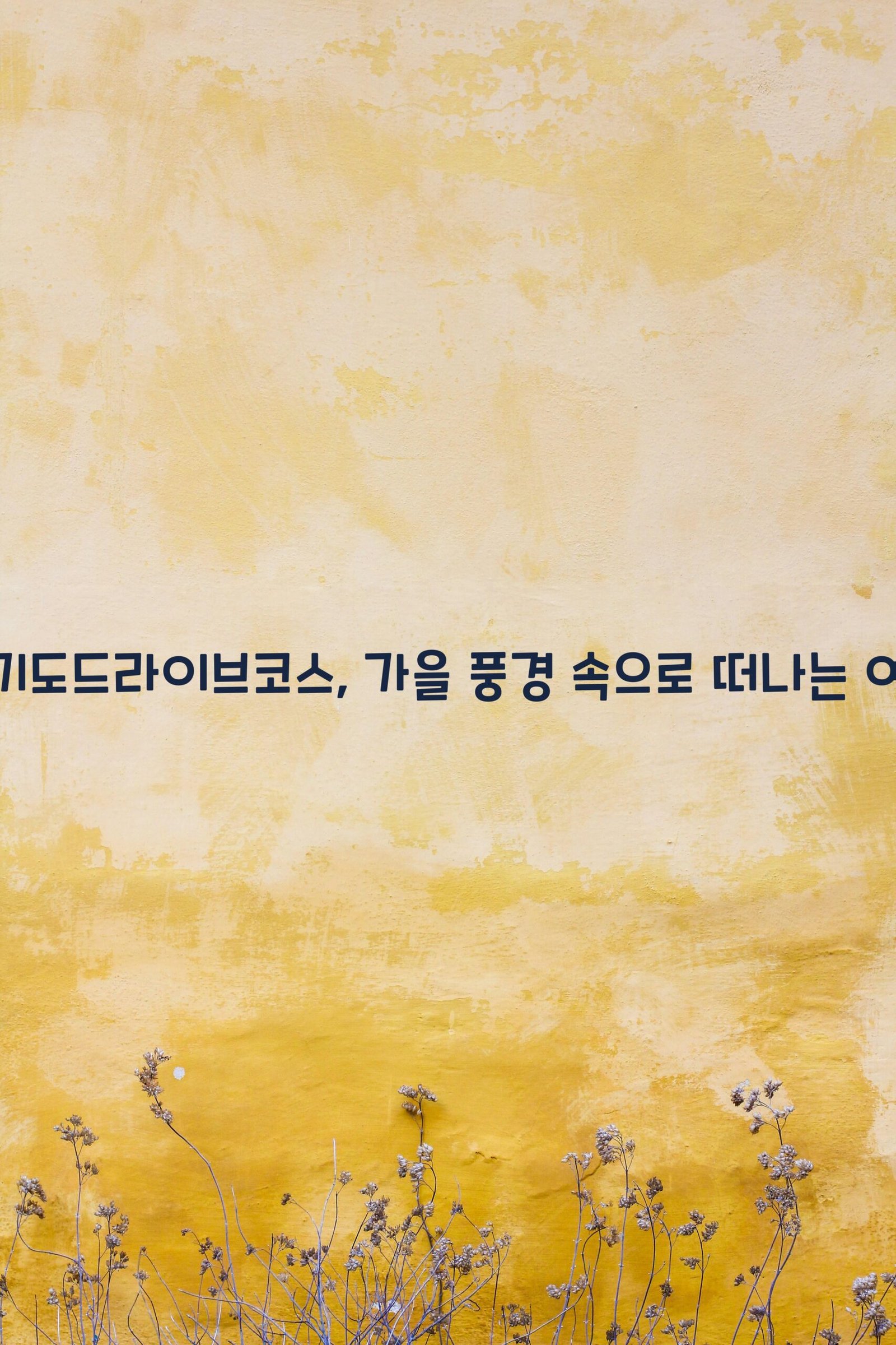 경기도드라이브코스 scaled