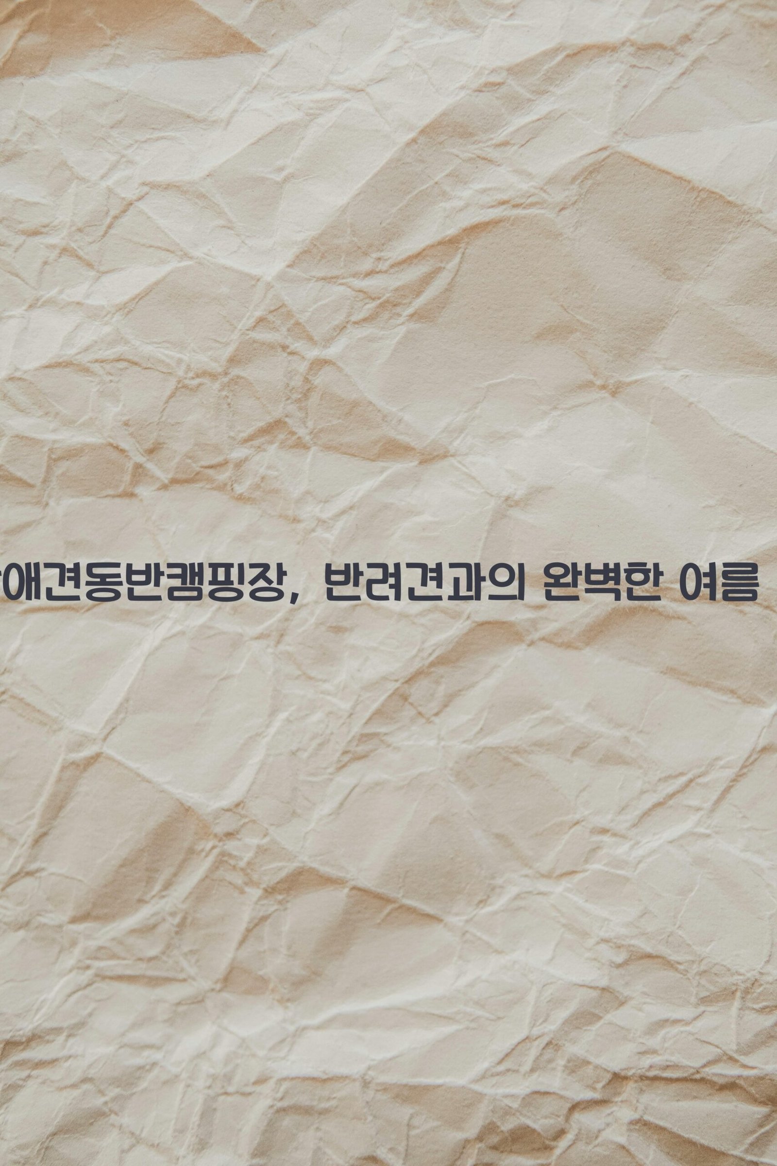 경남애견동반캠핑장 scaled