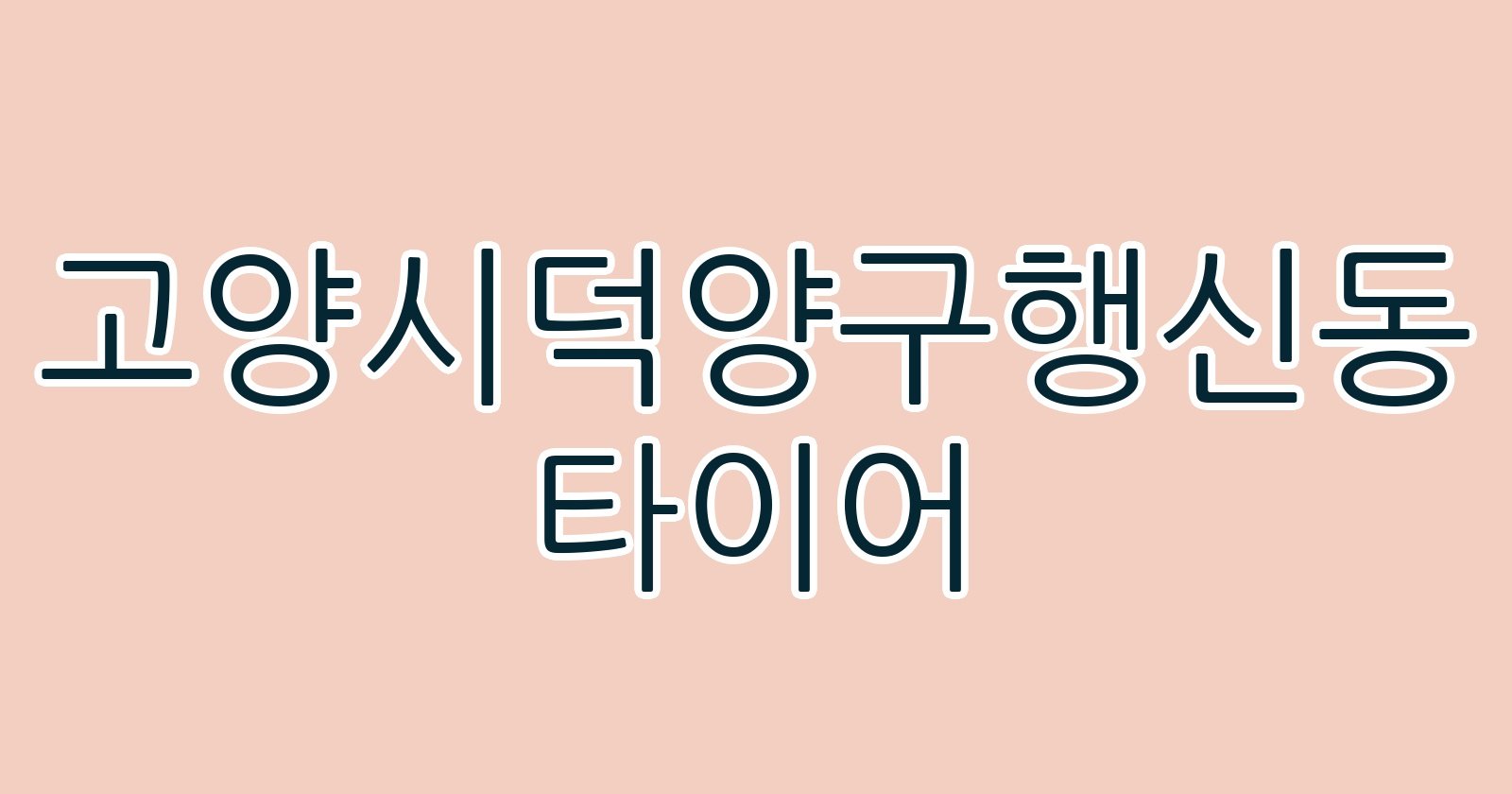 고양시덕양구행신동 타이어