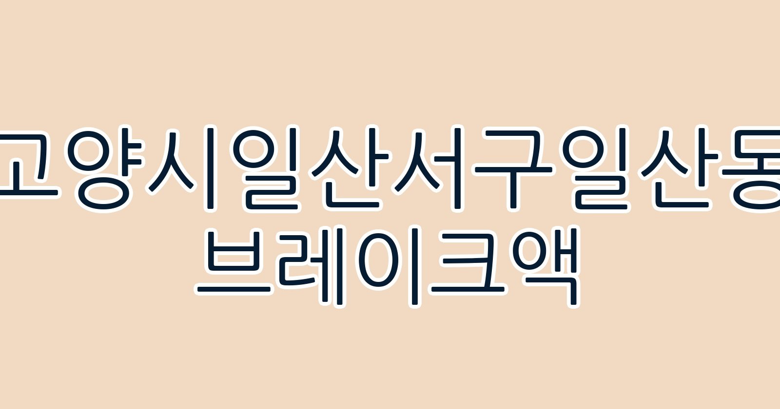 고양시일산서구일산동 브레이크액