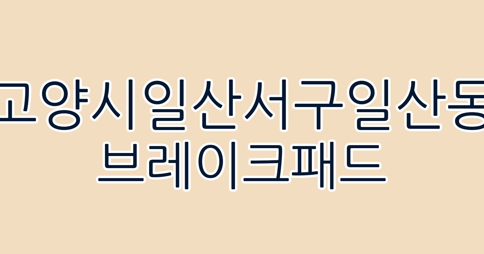 고양시일산서구일산동 브레이크패드