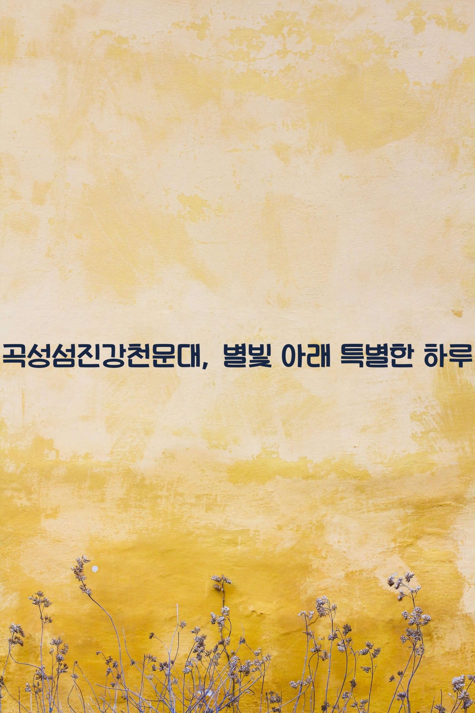 곡성섬진강천문대 scaled