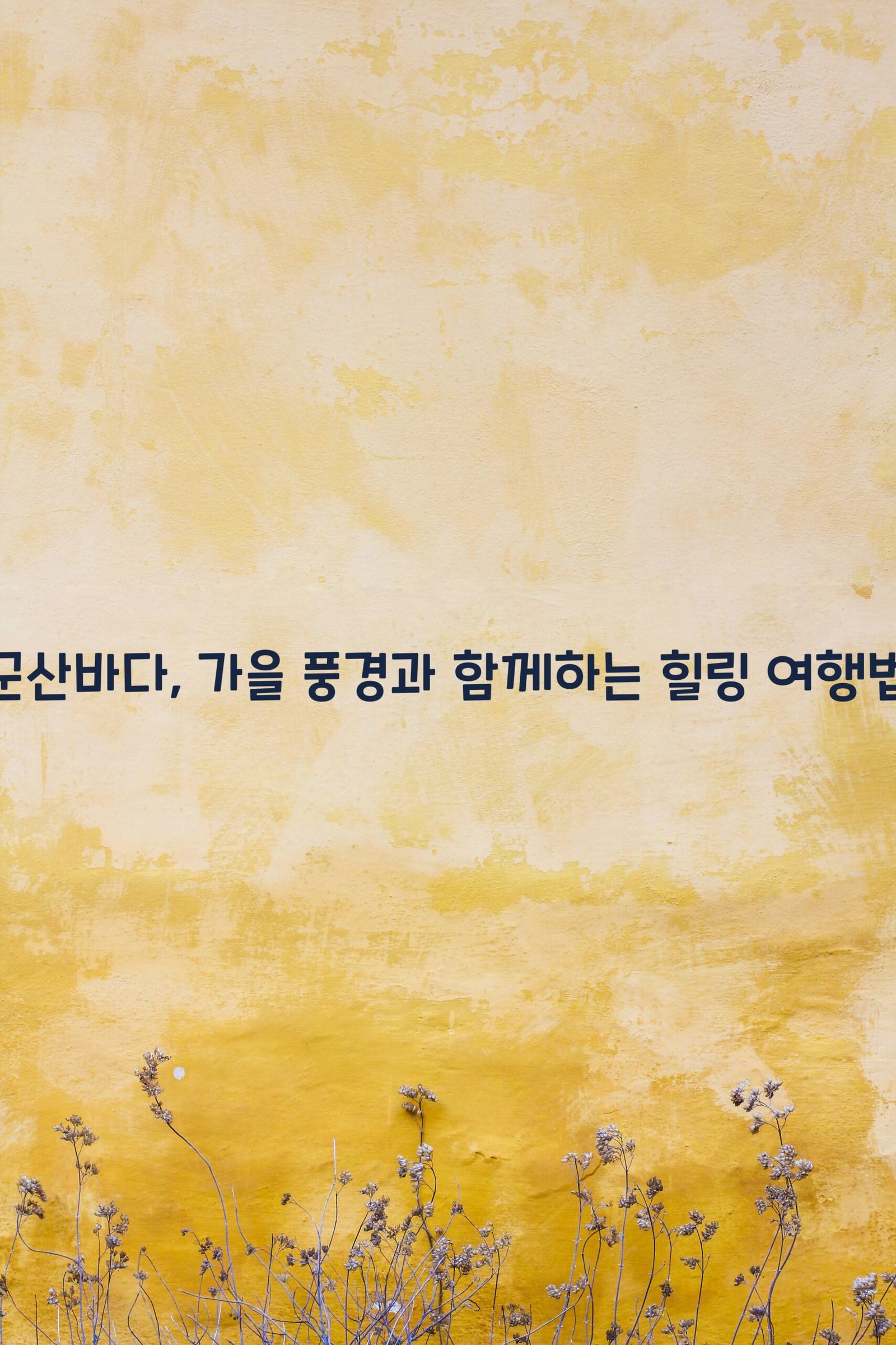 군산바다 scaled