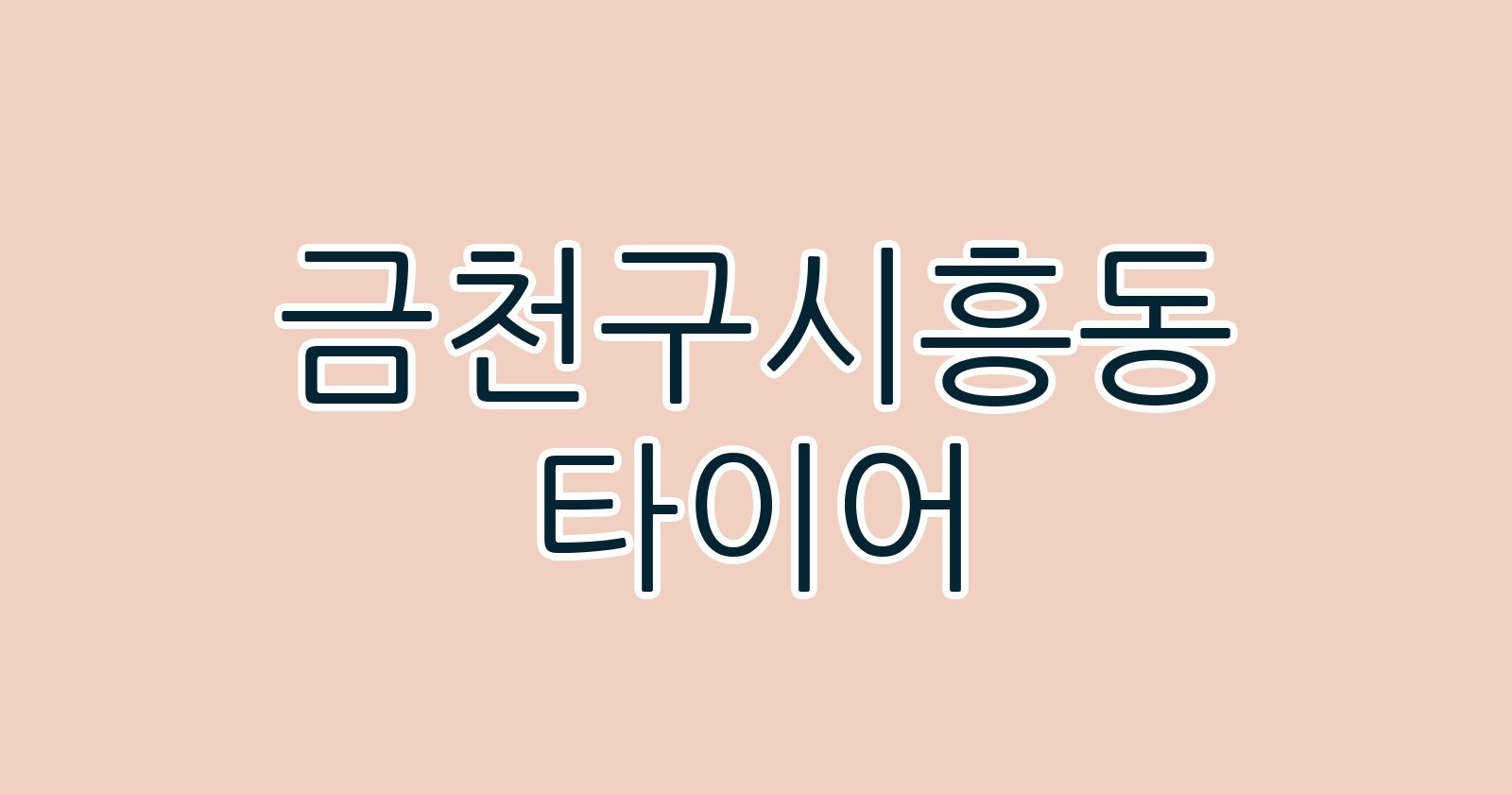 금천구시흥동 타이어