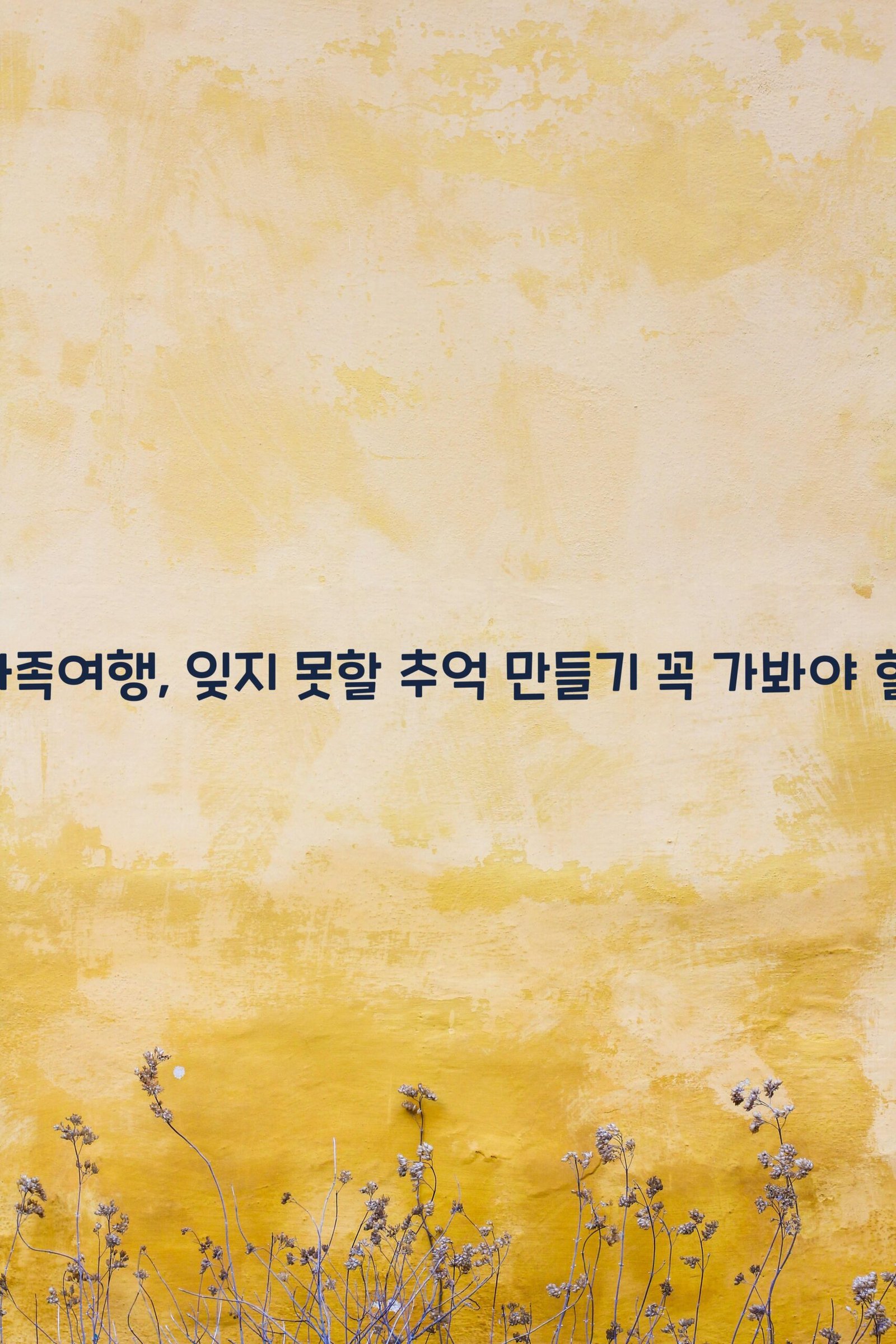 나트랑가족여행 scaled