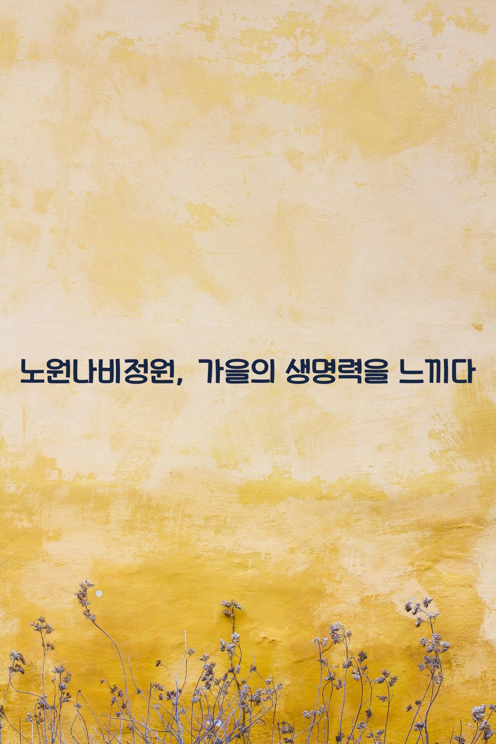 노원나비정원 scaled