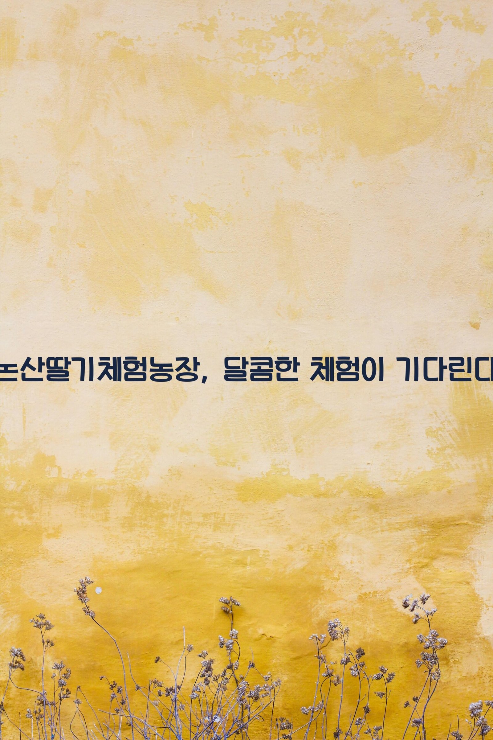 논산딸기체험농장 scaled