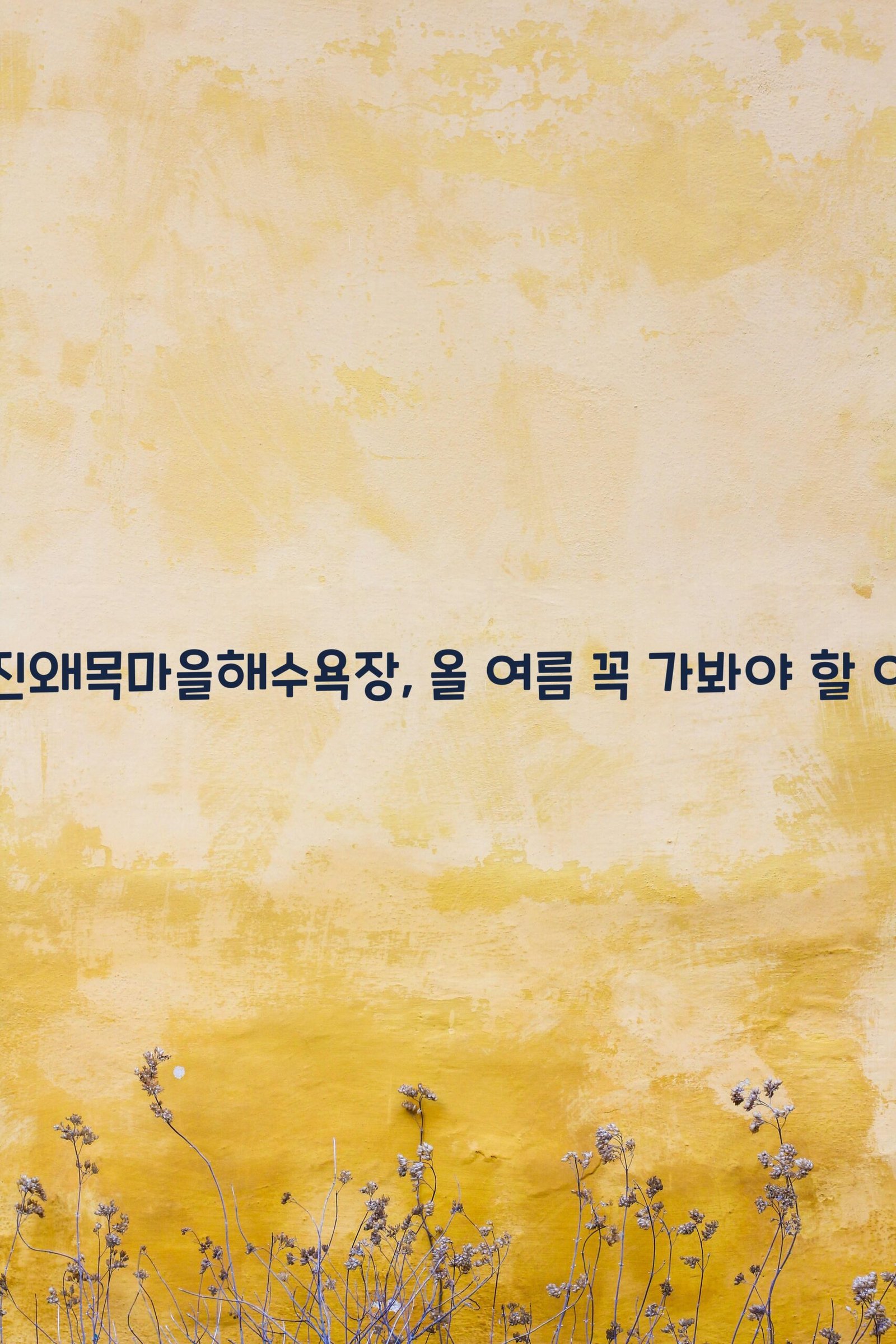 당진왜목마을해수욕장 scaled