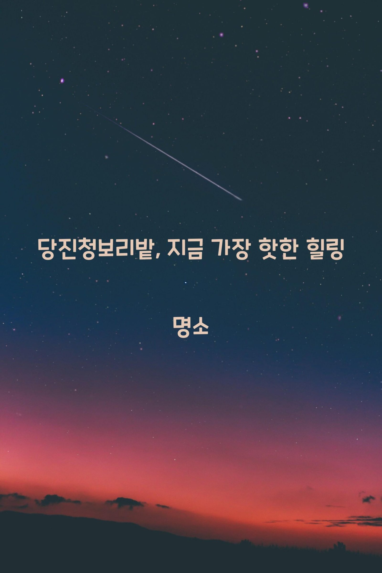당진청보리밭 scaled