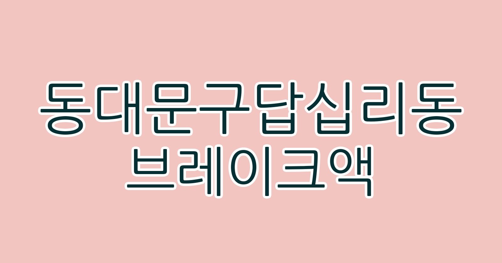 동대문구답십리동 브레이크액
