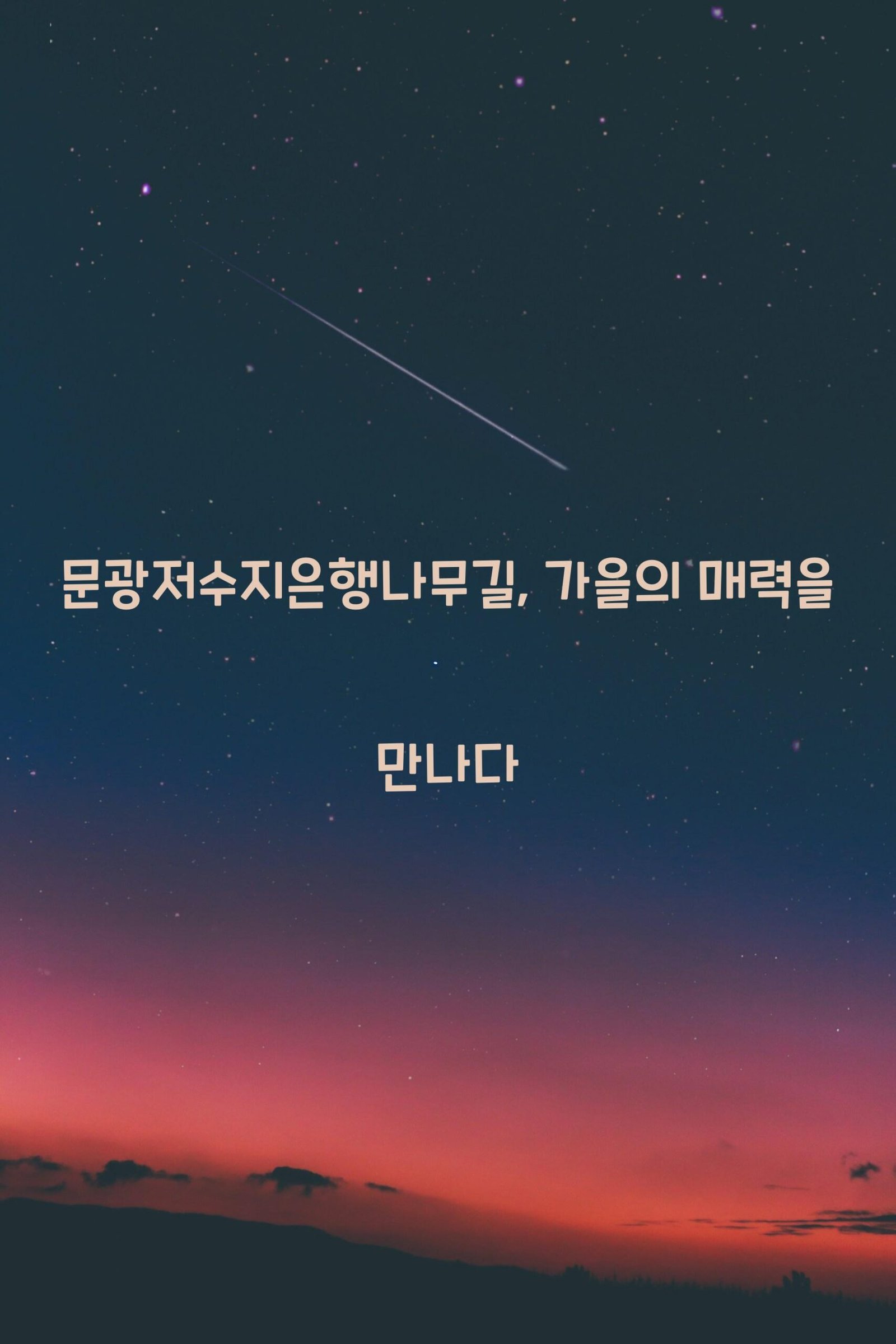 문광저수지은행나무길 scaled