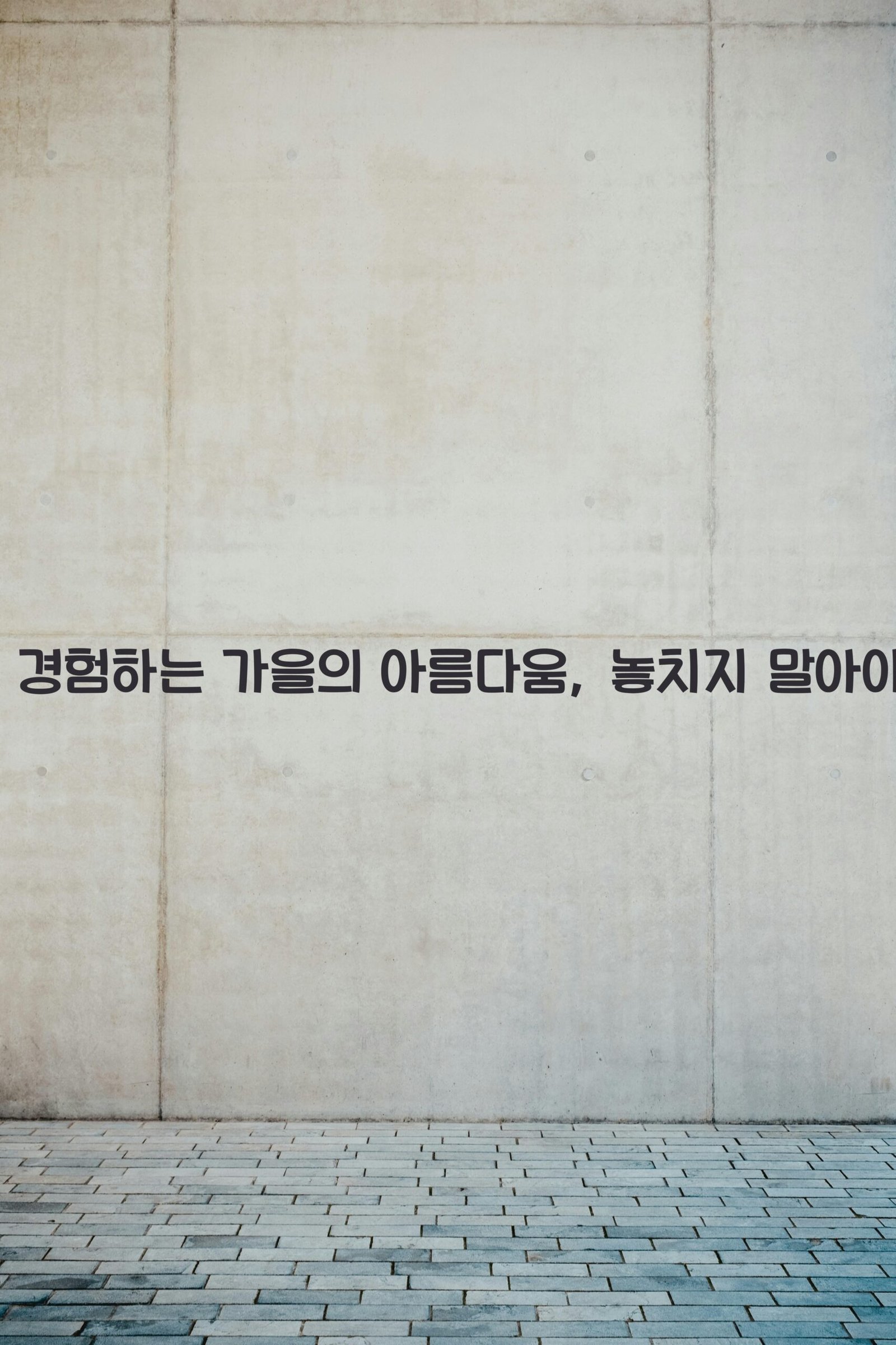 바라산 scaled