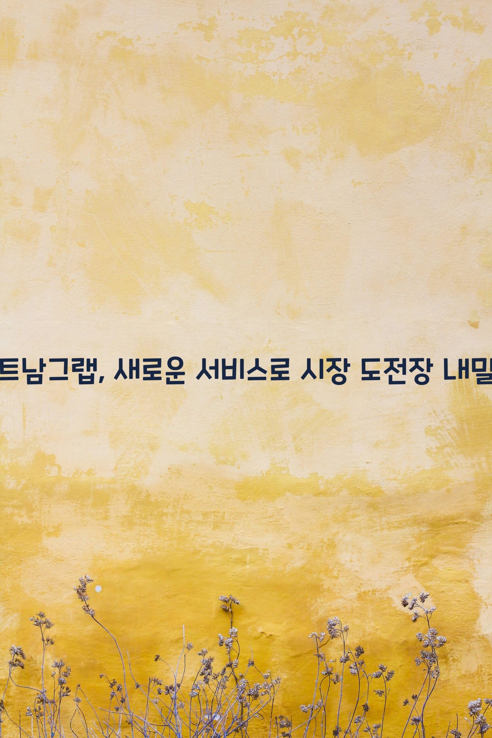 베트남그랩 scaled