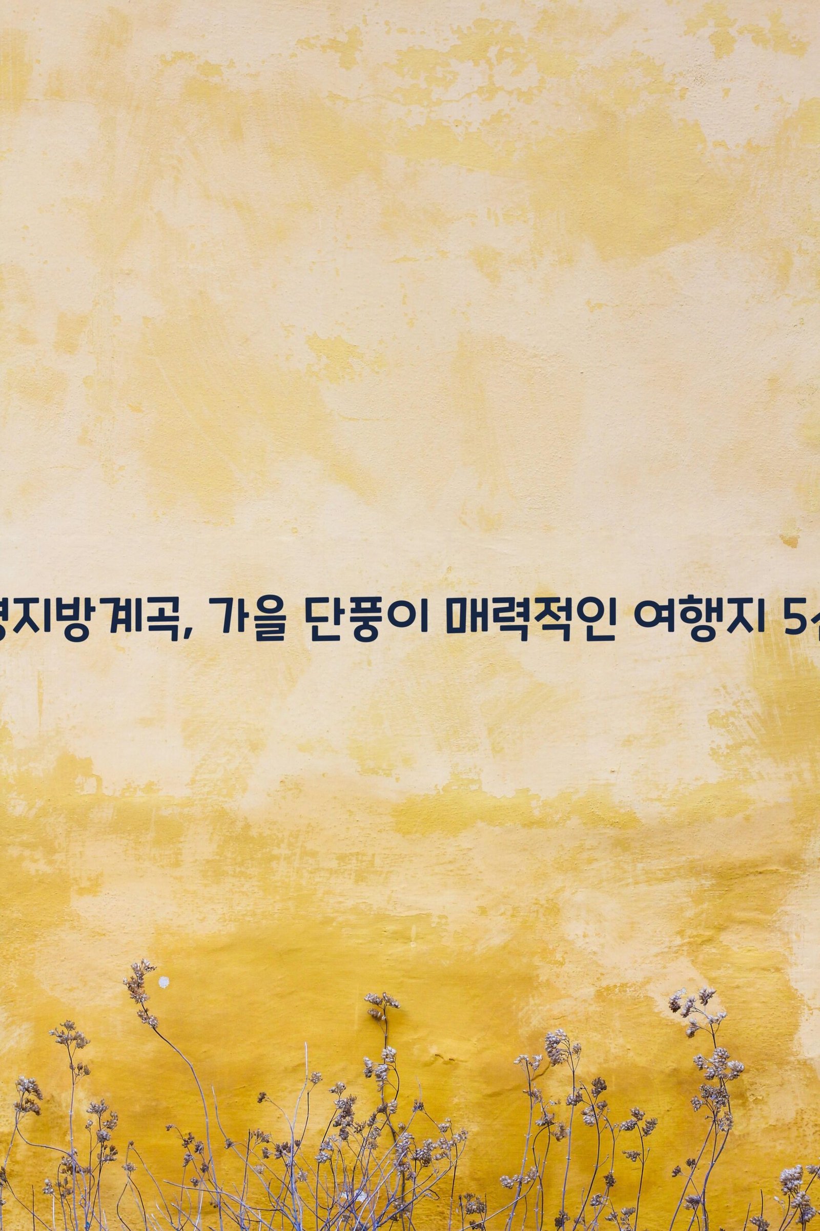 병지방계곡 scaled