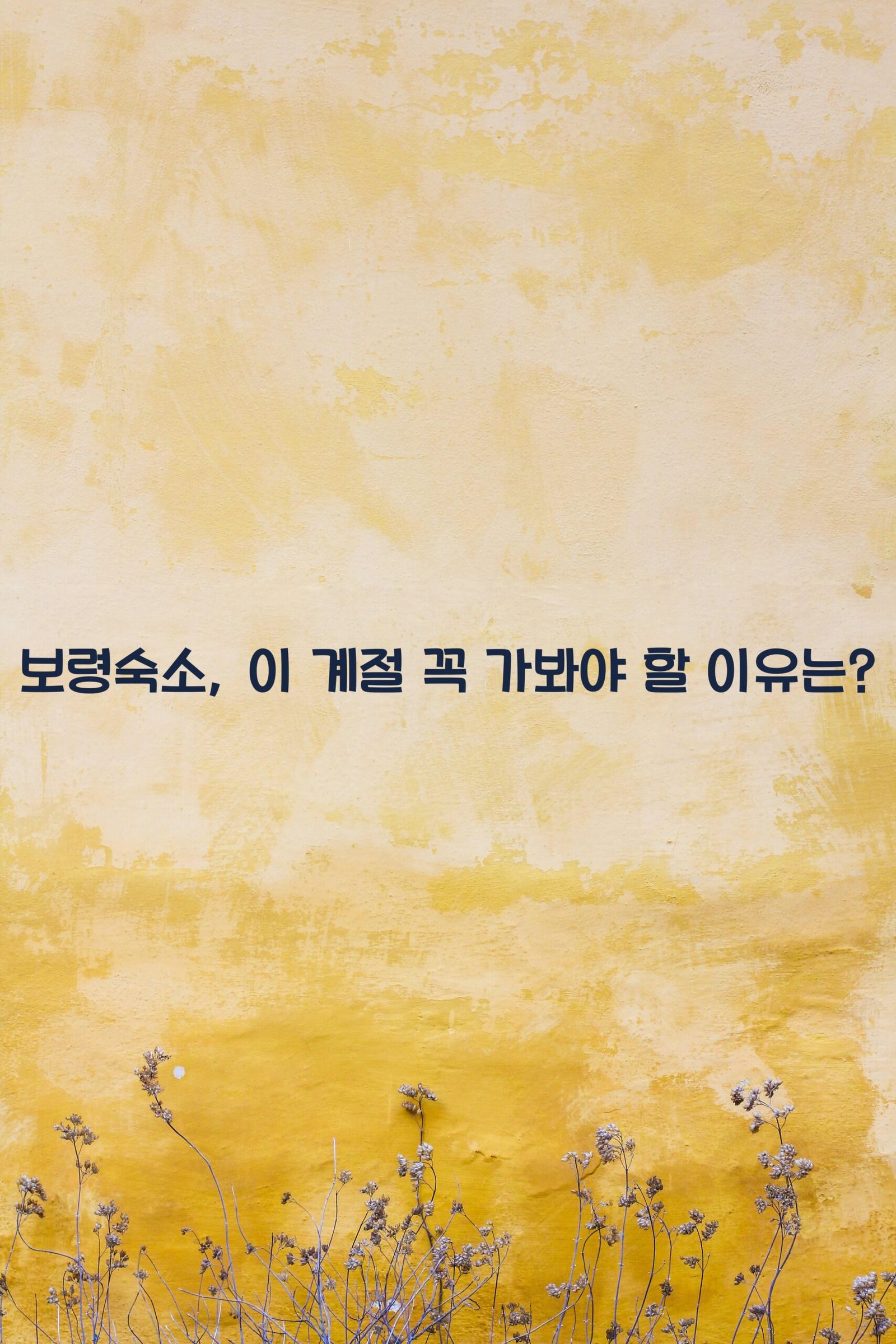 보령숙소 scaled