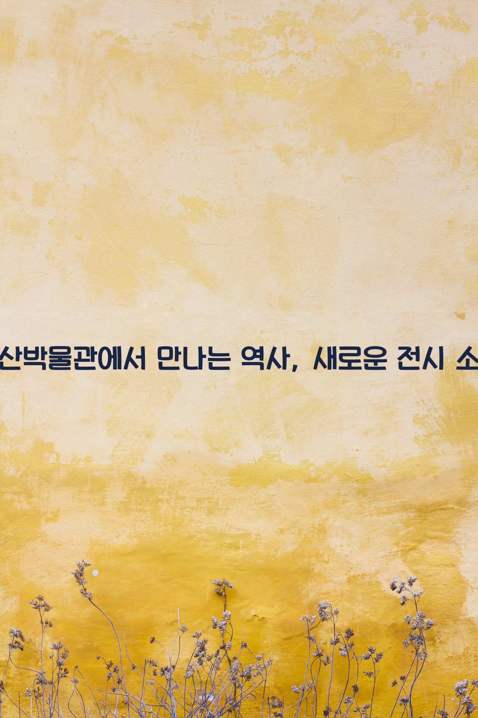 부산박물관 scaled