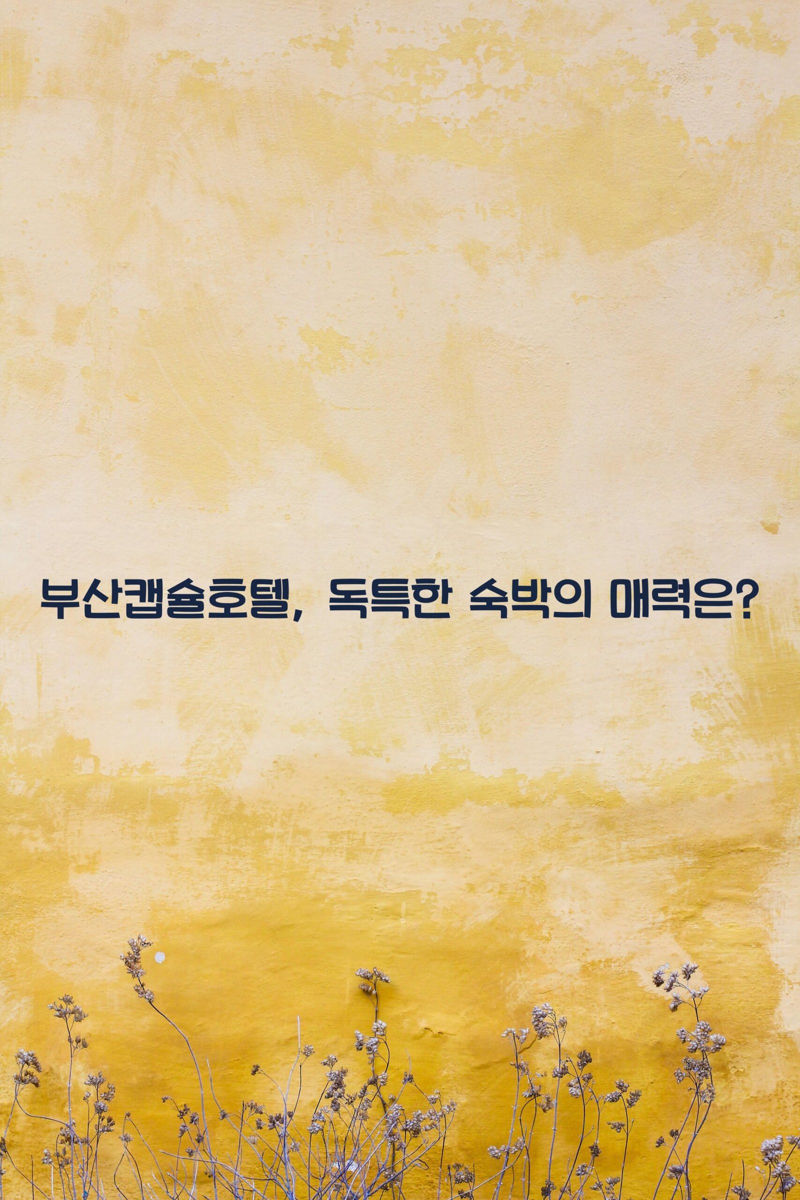 부산캡슐호텔 scaled