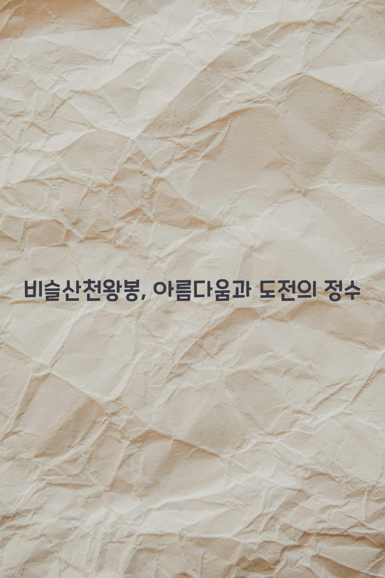 비슬산천왕봉 scaled